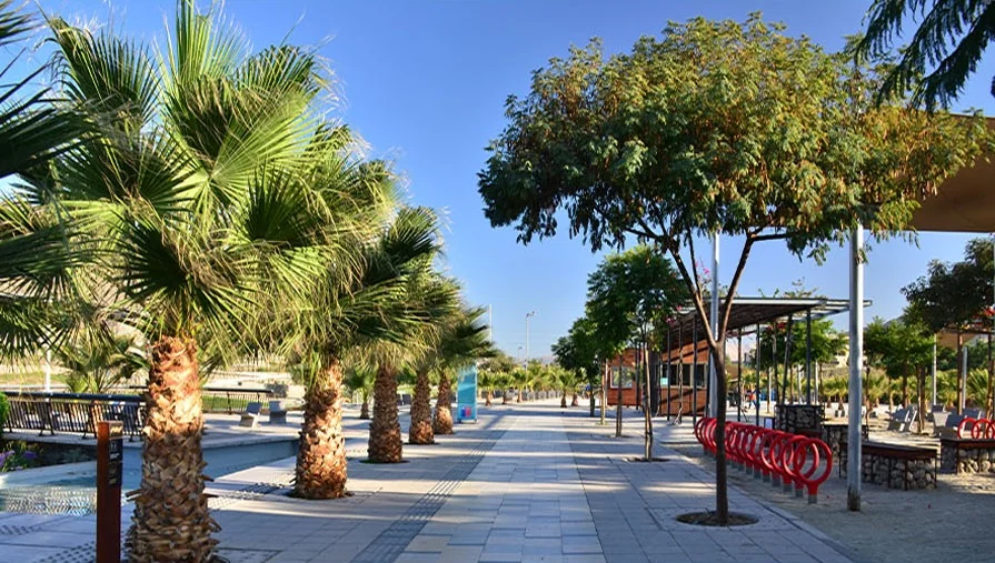 Paseo con palmeras y árboles en un parque urbano