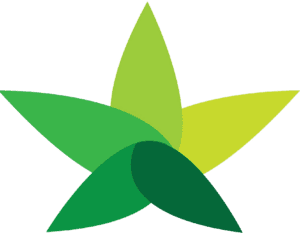 Estrella